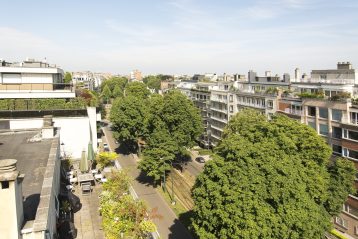 BXL-1