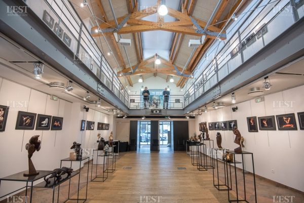 retrouvez-les-photos-de-l-exposition-l-art-du-bronze-organisee-jusqu-au-dimanche-20-mars-par-le-collectif-l-art-du-bronze-a-l-espace-gandhi-d-audincou